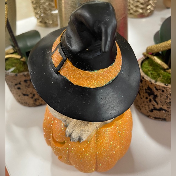 Halloween Puppy Witch Light up Orange Glitter Jack o’Lantern Humane Society NWT - Picture 5 of 7